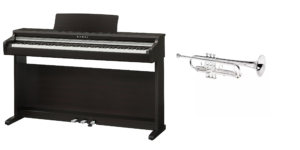 Read more about the article Adquisición de instrumentos 2021